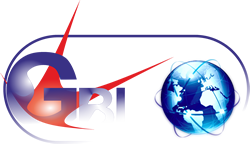 Global Brains Integral